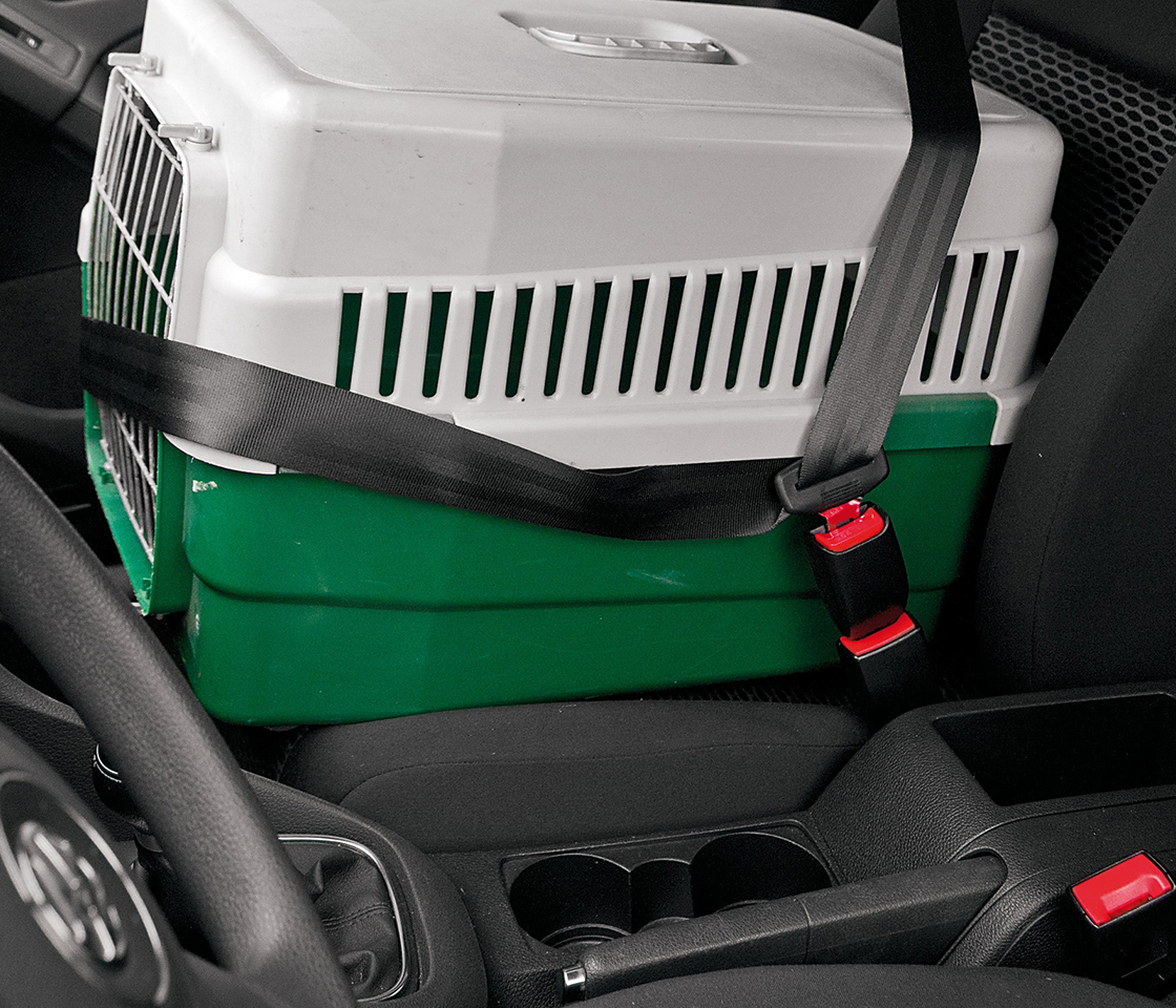 EXTENSÃO CINTO SEGURANÇA ZITTO-2 72397 LAMPA